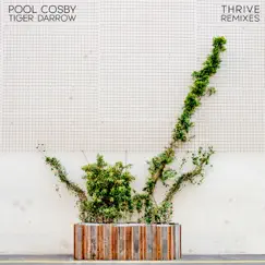 Thrive Remixes (feat. Tiger Darrow) - EP by Pool Cosby album reviews, ratings, credits