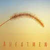 Aufatmen: Entspannende Musik und Naturgeräusche für entspannen, Meditation und ruhige Schlaf album lyrics, reviews, download