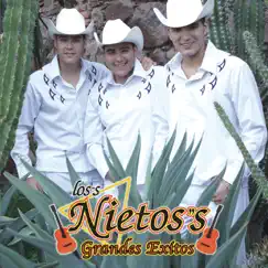 Grandes Éxitos: Los Nietos by Los Nietos album reviews, ratings, credits