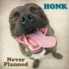 Never Planned - EP by Honk album reviews, ratings, credits