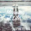 Meaning of Life - EP album lyrics, reviews, download