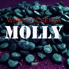 Molly (feat. Ccserva) - Single by Wise from Ohio album reviews, ratings, credits