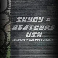 Ush (Shadre & Salvage Remix) - Single by Skydy & Beatcore album reviews, ratings, credits