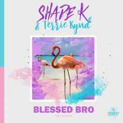 Blessed Bro - Single by Shade K & Terrie Kynd album reviews, ratings, credits