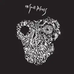 The Skull Defekts by The Skull Defekts album reviews, ratings, credits