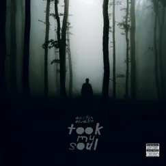 Took My Soul - Single by Austin Awake album reviews, ratings, credits