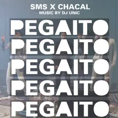 Pegaito (feat. El Chacal) Song Lyrics