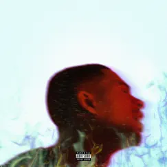 Platinum Fire (Deluxe) by Arin Ray album reviews, ratings, credits