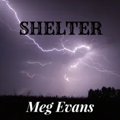 Shelter - Single by Meg Evans album reviews, ratings, credits