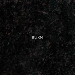Burn - Single by Redamancy album reviews, ratings, credits