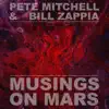 Musings on Mars album lyrics, reviews, download