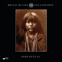 Perceptual (Remastered) by Brian Blade & The Fellowship Band album reviews, ratings, credits