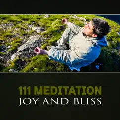 111 Meditation: Joy and Bliss – Light of Healing, Blessing Buddha, Stress and Fear Release, Pure Zen, Spiritual Songs of Awakening by Spiritual Healing Music Universe album reviews, ratings, credits