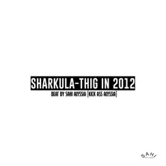 Thig in 2012 (feat. Sharkula) Song Lyrics