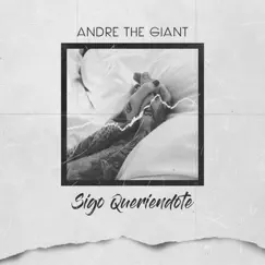 Sigo Queriendote - Single by Andre TG album reviews, ratings, credits