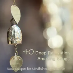 40 Deep Relaxation Amazing Songs - Nature Sounds Mindfulness Meditation Music by Naturescapes for Mindfulness Meditation album reviews, ratings, credits