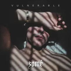 Vulnerable - Single by ZOME album reviews, ratings, credits