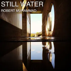 Still Water - Single by Robert Muhammad album reviews, ratings, credits