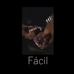 Fácil - Single by Fazzini & C.R.O album reviews, ratings, credits