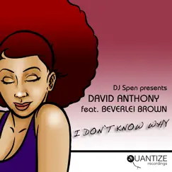 I Don't Know Why (feat. Beverlei Brown) [Manoo Remix] Song Lyrics