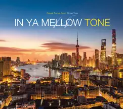 In Ya Mellow Tone 14 by Various Artists album reviews, ratings, credits