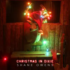 Christmas in Dixie Song Lyrics