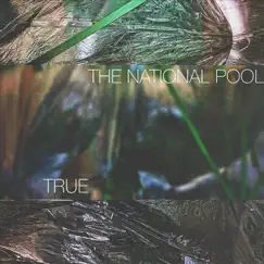 True - Single by The National Pool album reviews, ratings, credits