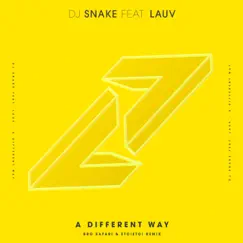 A Different Way (feat. Lauv) [Bro Safari & ETC!ETC! Remix] Song Lyrics
