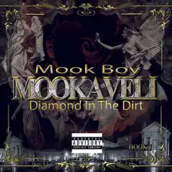 Diamond in the Dirt - Single by Mook Boy album reviews, ratings, credits