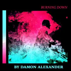 Burning Down - Single by Damon Alexander album reviews, ratings, credits