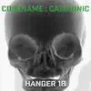 Hanger 18 - Single album lyrics, reviews, download