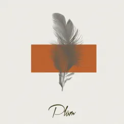 Orchestral - Single by PLÜM album reviews, ratings, credits