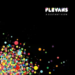 A Distant View by Flevans album reviews, ratings, credits