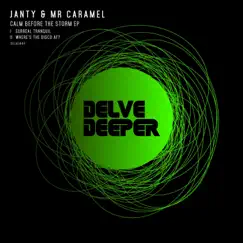 Calm Before the Storm - Single by Janty & Mr Caramel album reviews, ratings, credits