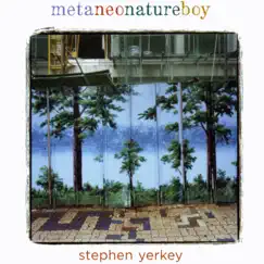 Metaneonatureboy by Stephen Yerkey album reviews, ratings, credits