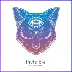 Invisible - Single by SK Shlomo album reviews, ratings, credits