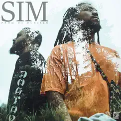 Sim - Single by SPJungle album reviews, ratings, credits