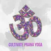 Cultivate Prana Yoga: Energy of a Particular Practice of the Throat Chakra, Yoga Breathing Techniques, Higher Mental Level, Activate Specific Chakras, Be the Best Version of Yourself album lyrics, reviews, download