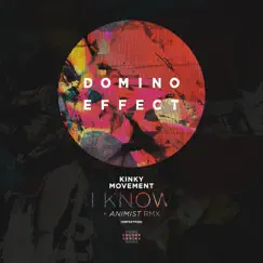 I Know (Animist Remix) Song Lyrics
