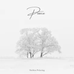 Peace by Sheldon Pickering album reviews, ratings, credits