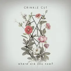 Where Are You Now? - Single by Crinkle Cut album reviews, ratings, credits