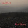 Wildfire - Single album lyrics, reviews, download