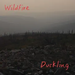 Wildfire - Single by Duckling album reviews, ratings, credits