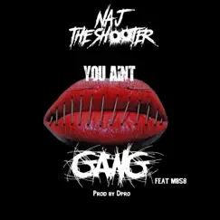 You Ain't Gang (feat. MB58) - Single by Naj the Shooter album reviews, ratings, credits