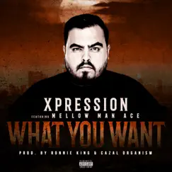 What You Want (feat. Mellow Man Ace) - Single by Xpression album reviews, ratings, credits