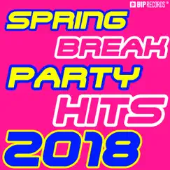 Spring Break Party Hits 2018 by Various Artists album reviews, ratings, credits