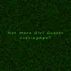 Not More Girl Guests (Us) album lyrics, reviews, download