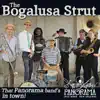 Bogalusa Strut - Single album lyrics, reviews, download