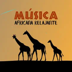 Relajante Sala Africana Song Lyrics