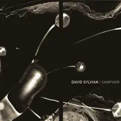 Camphor by David Sylvian album reviews, ratings, credits